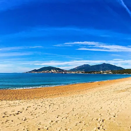 : Superbe Dans Neuve Ajaccio (Corsica)