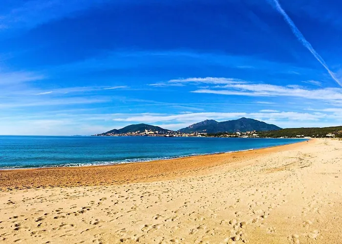 : Superbe Dans Neuve 阿雅克肖