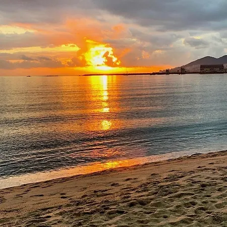 Lejlighed : Superbe Dans Neuve Ajaccio (Corsica)